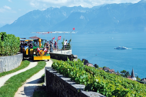 Lavaux Express