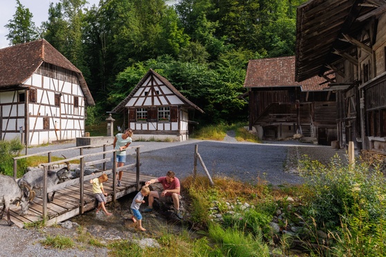 Ballenberg Freilichtmuseum