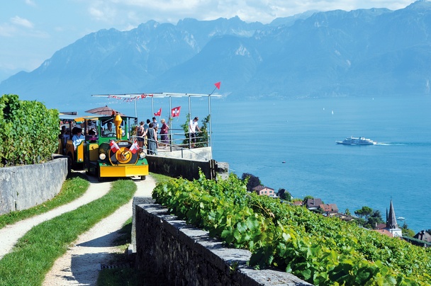 Lavaux Express