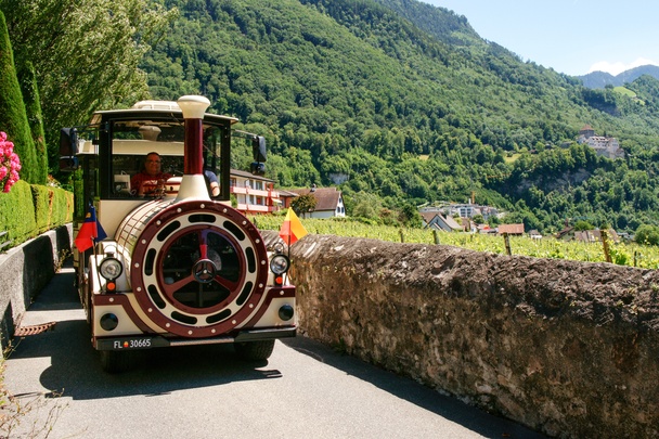 Citytrain Tours – experience Vaduz